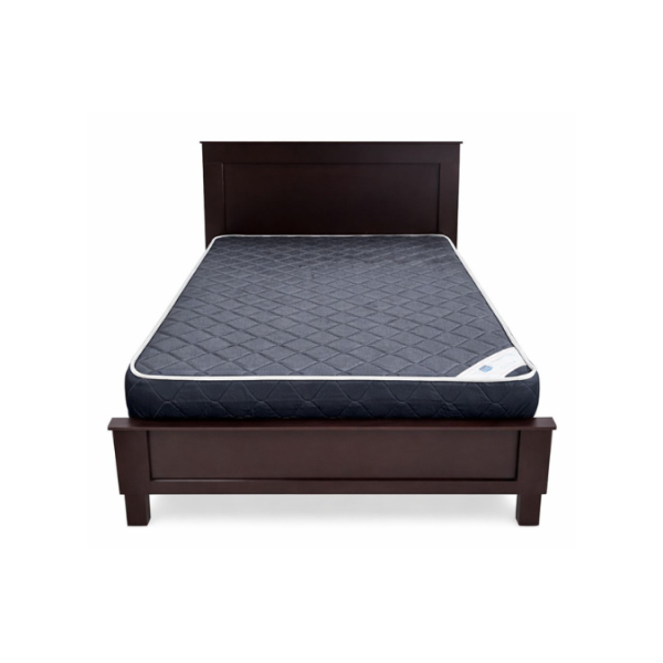 ACTUALIZACION WEB (52)