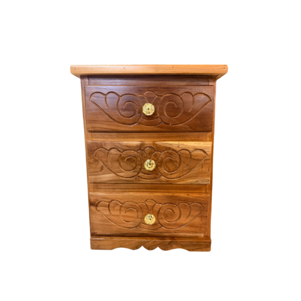 ACTUALIZACION WEB (3)