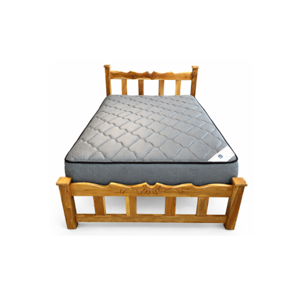 ACTUALIZACION WEB (6)