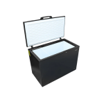 ACTUALIZACION WEB (99)