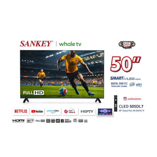 ACTUALIZACION WEB (35)