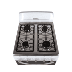 ACTUALIZACION WEB (2)