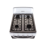 ACTUALIZACION WEB (42)