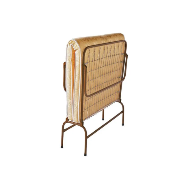 ACTUALIZACION WEB (12)