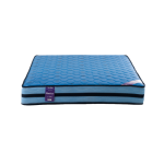 ACTUALIZACION WEB (5)