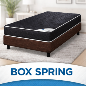 ACTUALIZACION WEB (24)