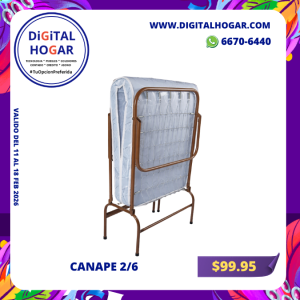 Post de Instagram Anuncio Fiesta de Carnaval Festivo Morado (23)